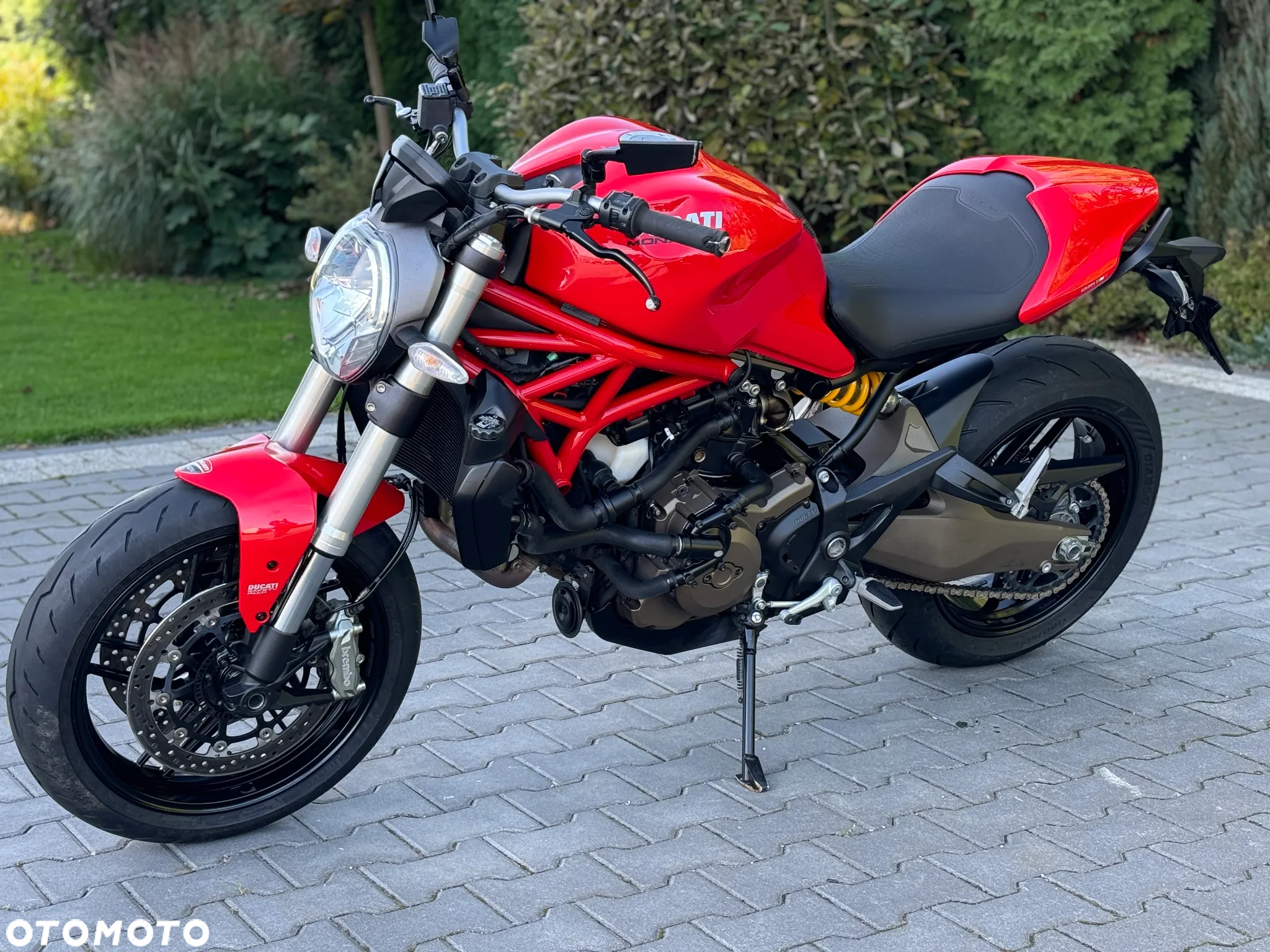 Ducati Monster - 6