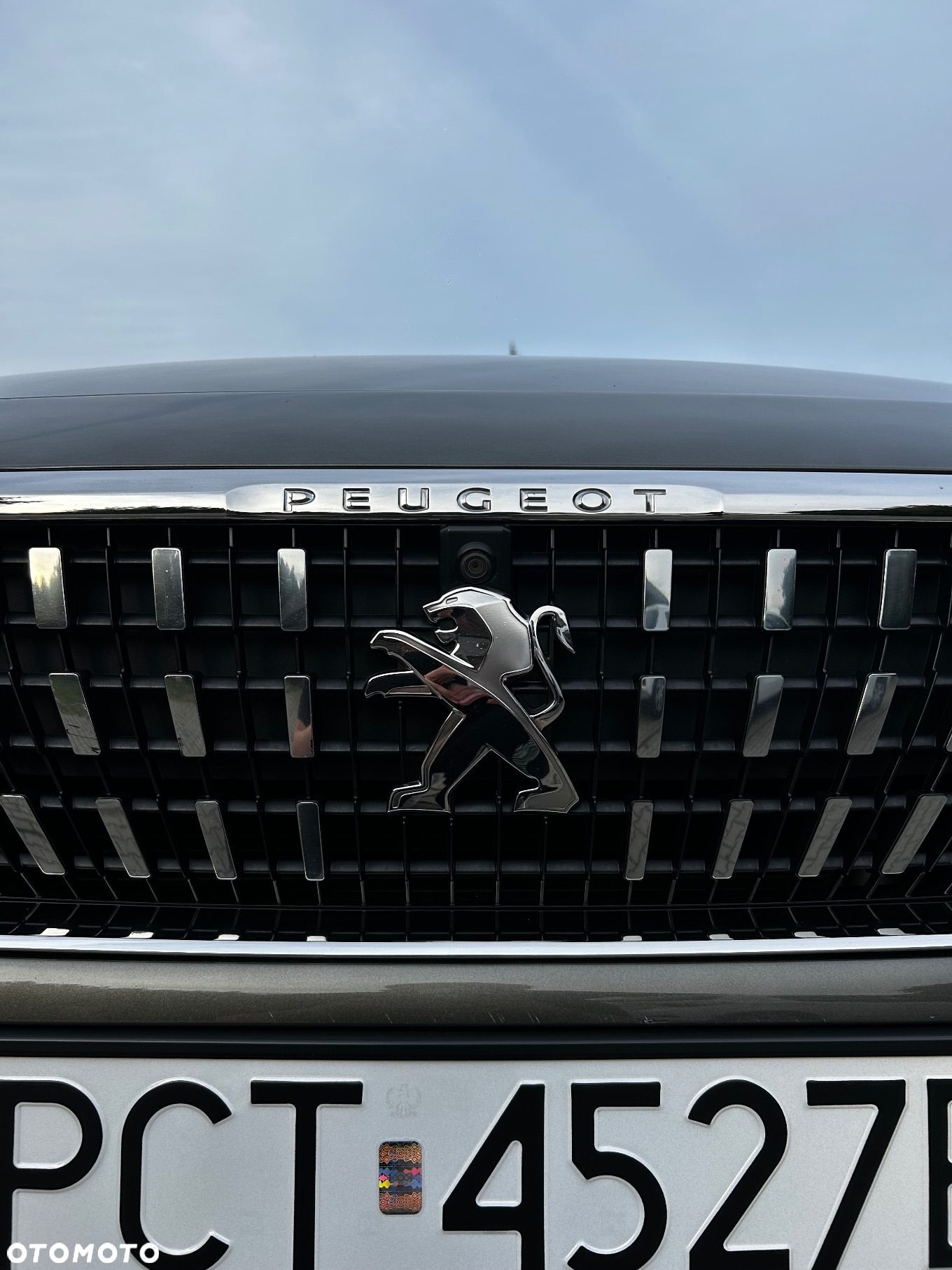 Peugeot 3008 - 15