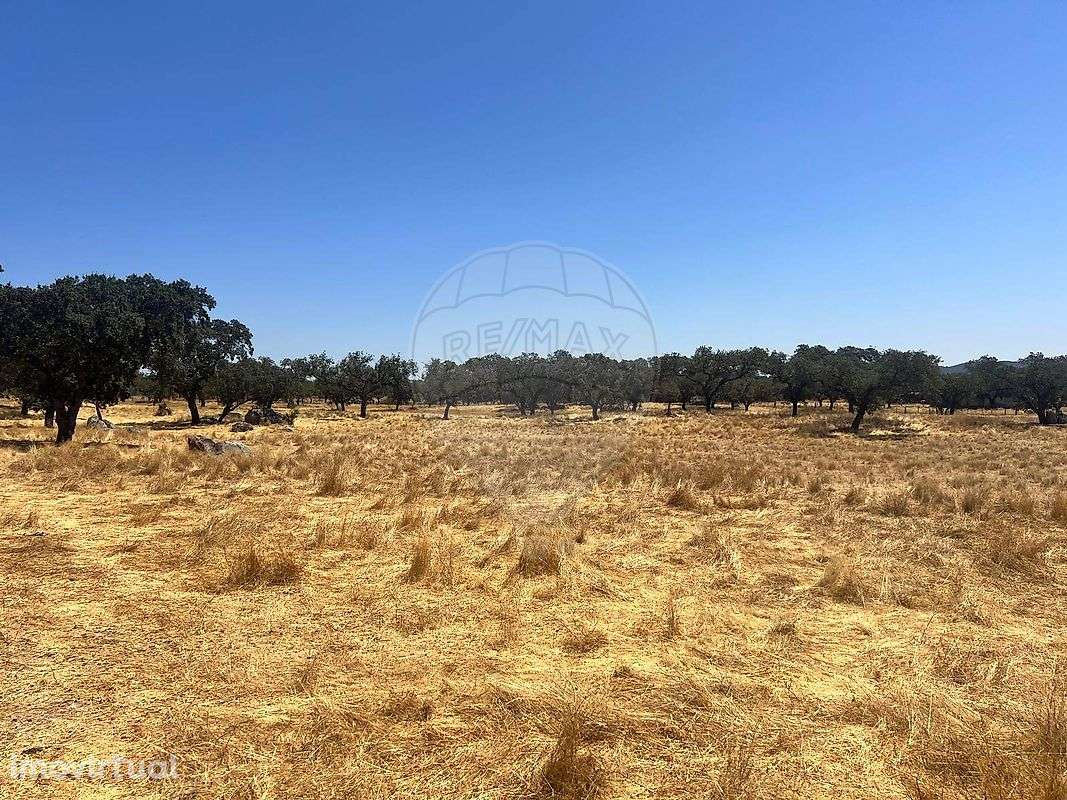 Quinta  para venda - Grande imagem: 4/15