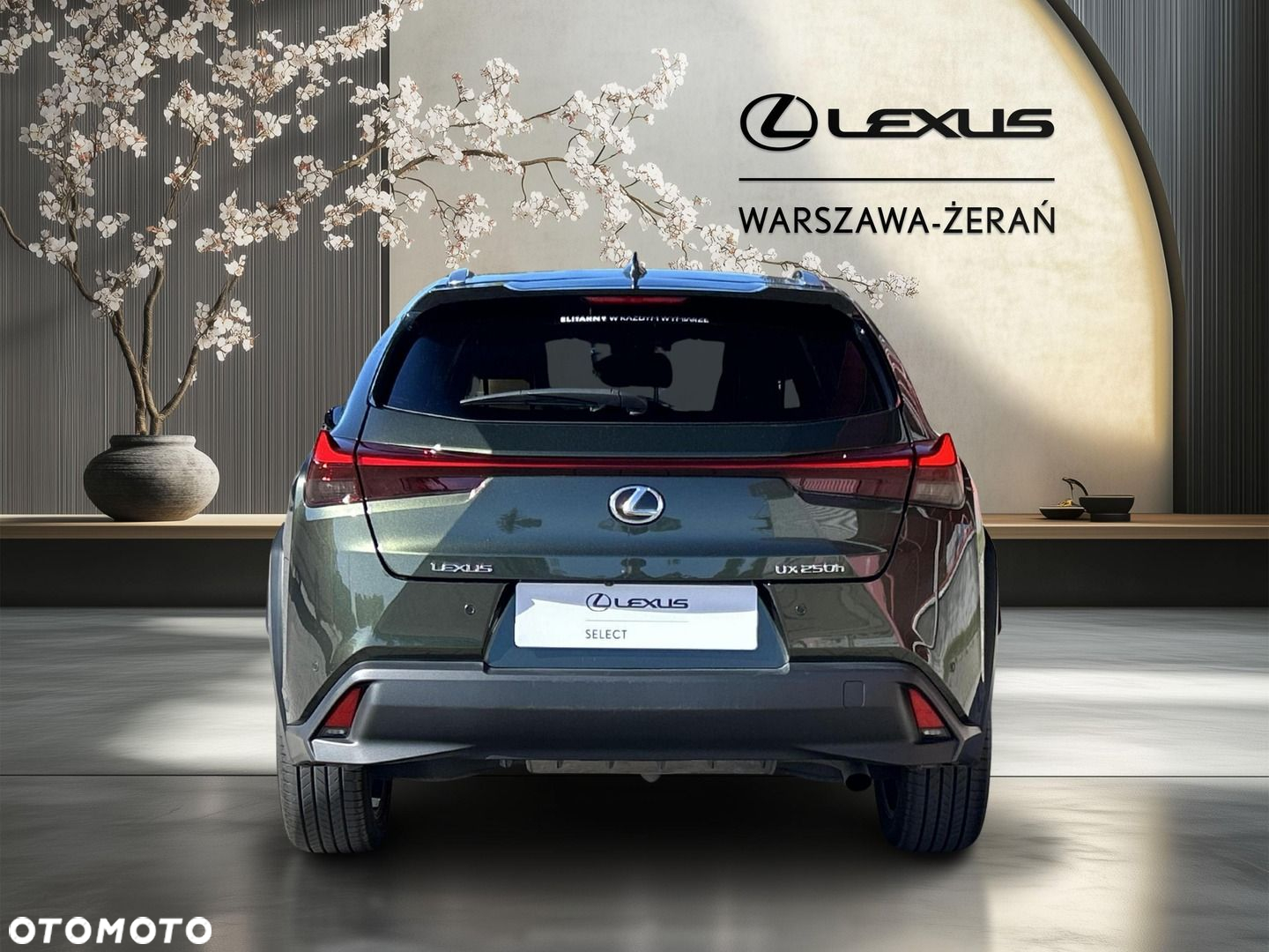 Lexus UX 250h GPF Business 2WD - 6