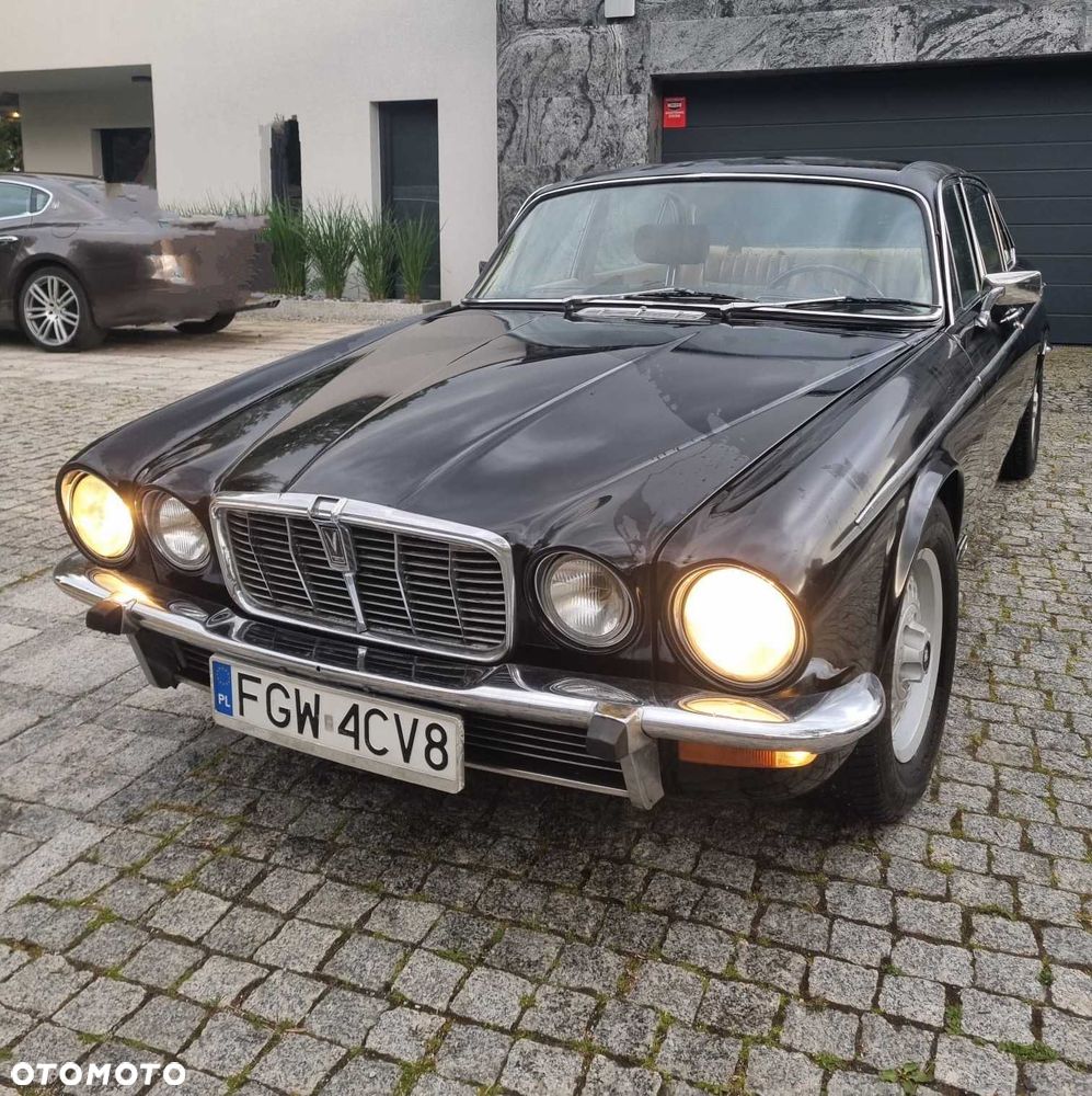 Jaguar Inny - 1