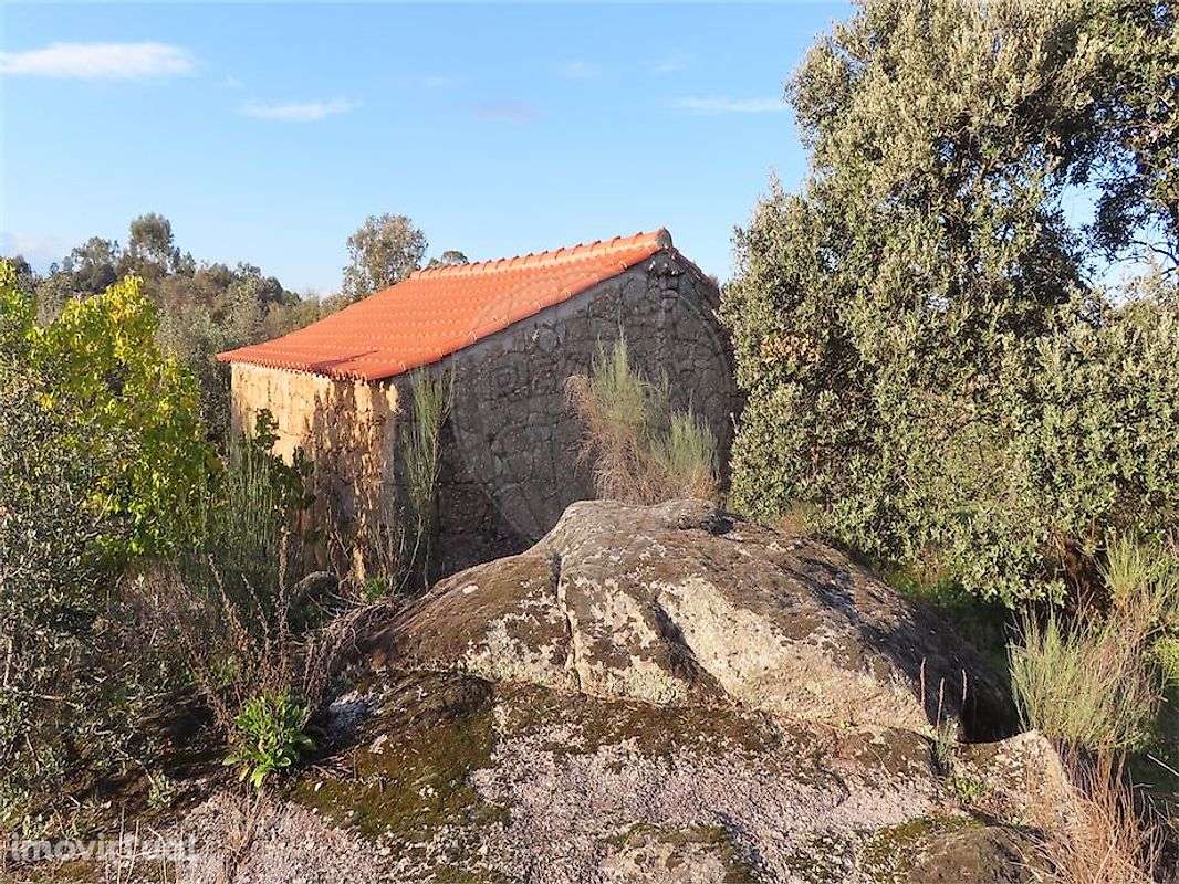 Quinta  para venda - Grande imagem: 3/45