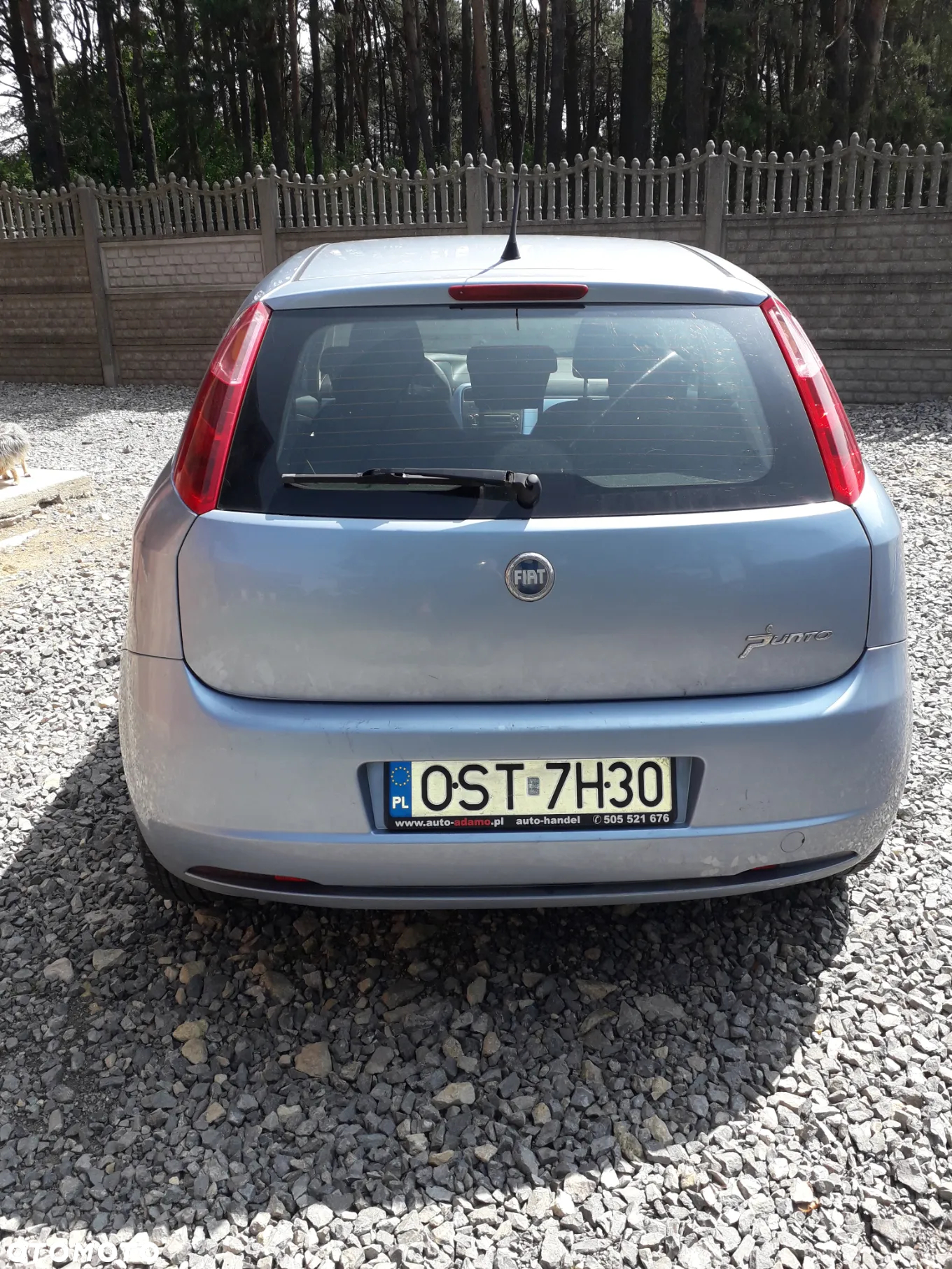Fiat Punto - 3