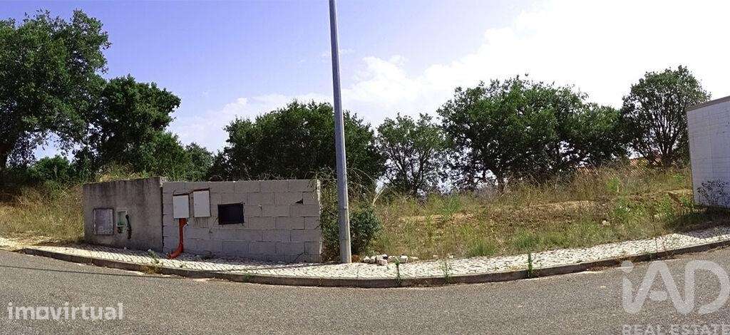 Terreno para construção em A dos Negros - Grande imagem: 5/5