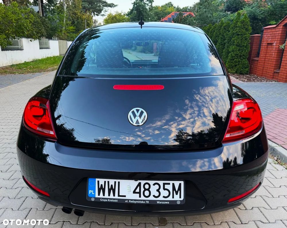 Volkswagen Beetle - 18