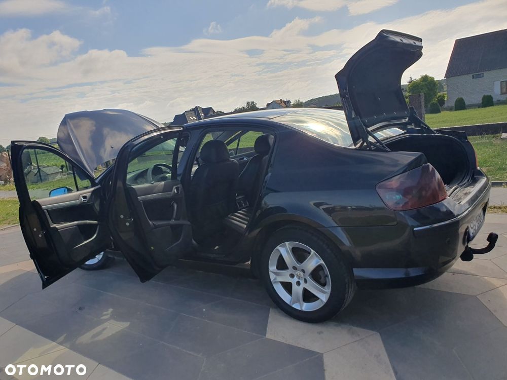 Peugeot 407 - 4
