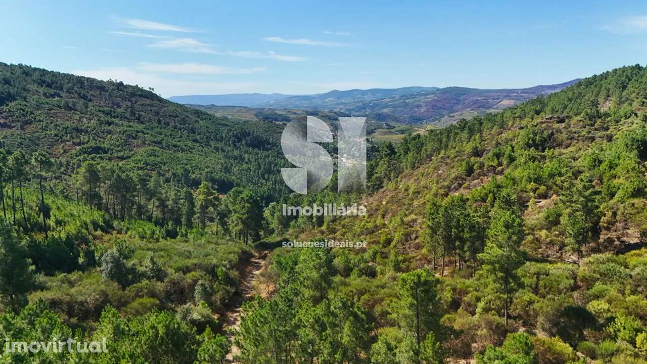 Terreno em Alijó - Grande imagem: 3/20