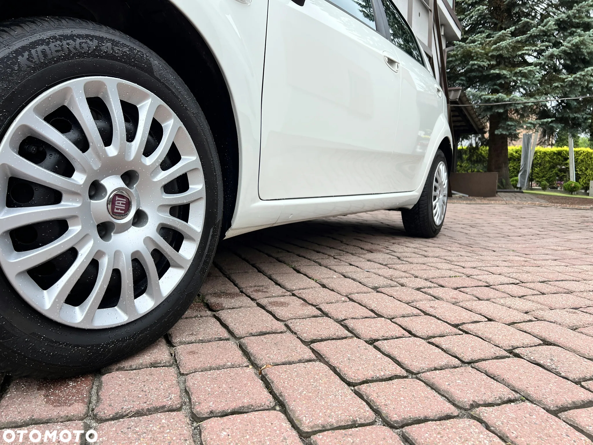 Fiat Punto Evo 1.2 8V Estiva - 13