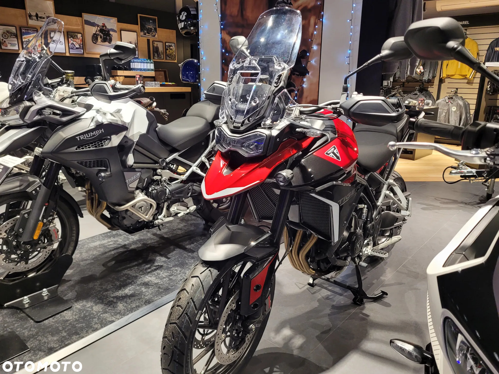 Triumph Tiger