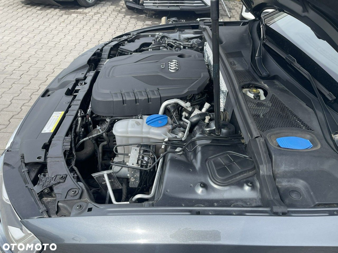 Audi A5 40 TDI Quattro S Line S tronic - 16