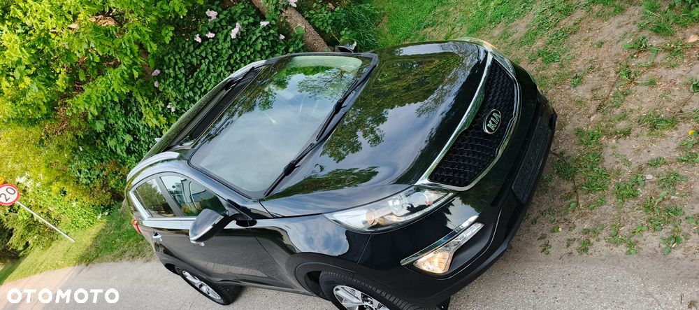 Kia Sportage 1.6 GDI Business Line L 2WD - 4