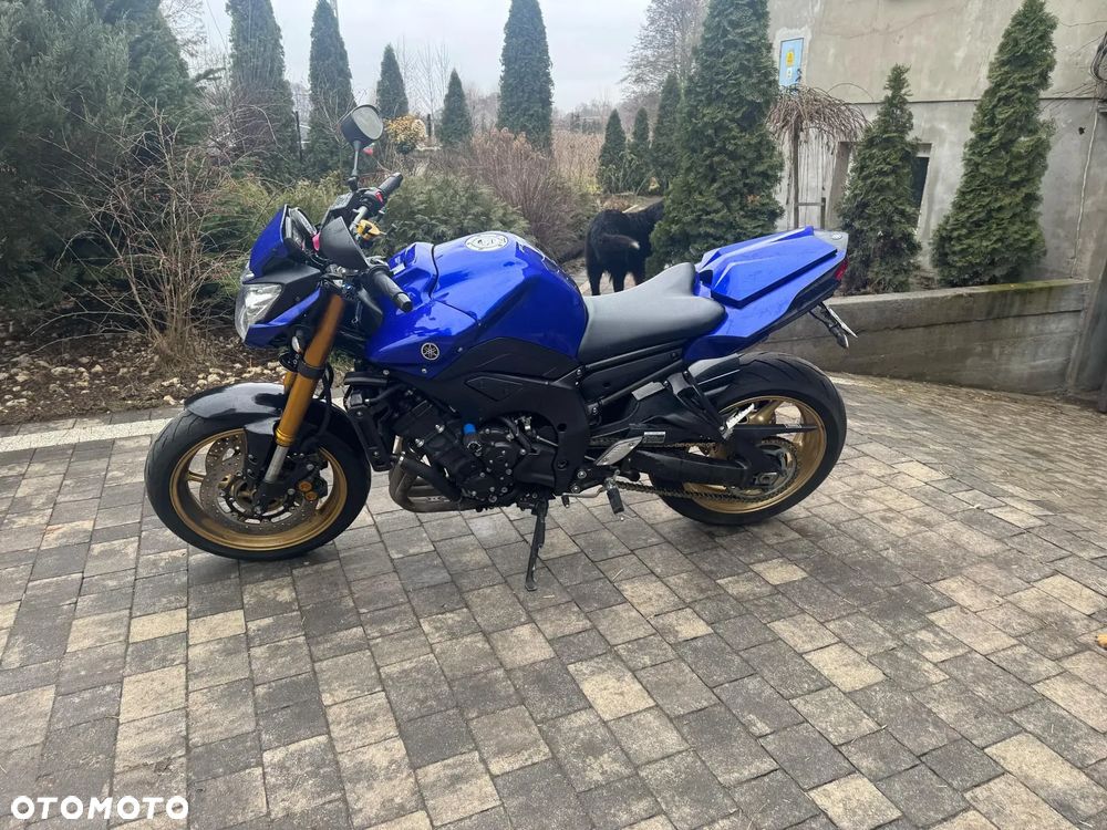Yamaha FZ8 - 3