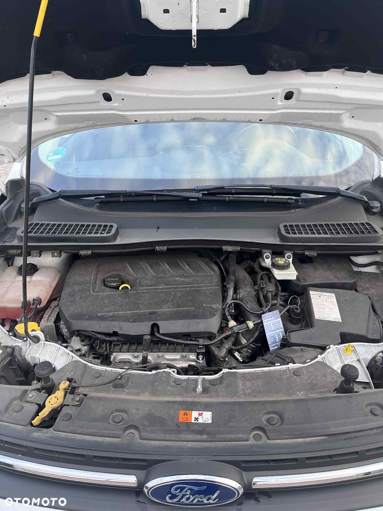 Ford Kuga 1.5 EcoBoost FWD Edition ASS GPF - 21