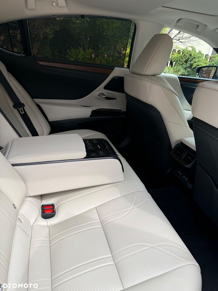 Lexus ES 300h Omotenashi - 10