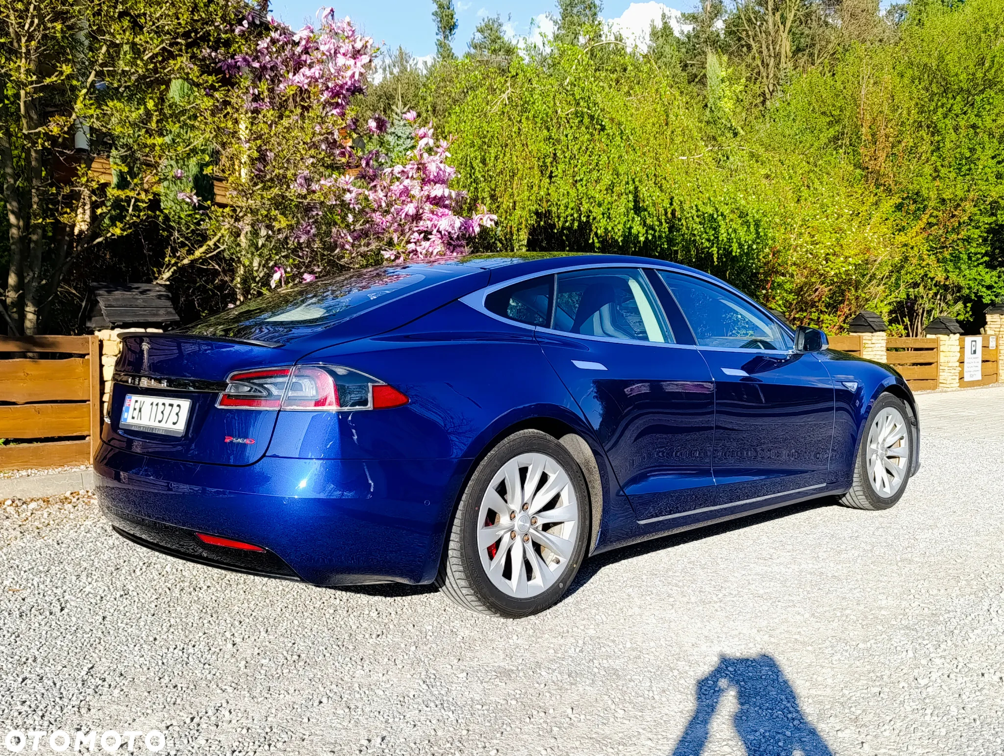 Tesla Model S Performance - 2