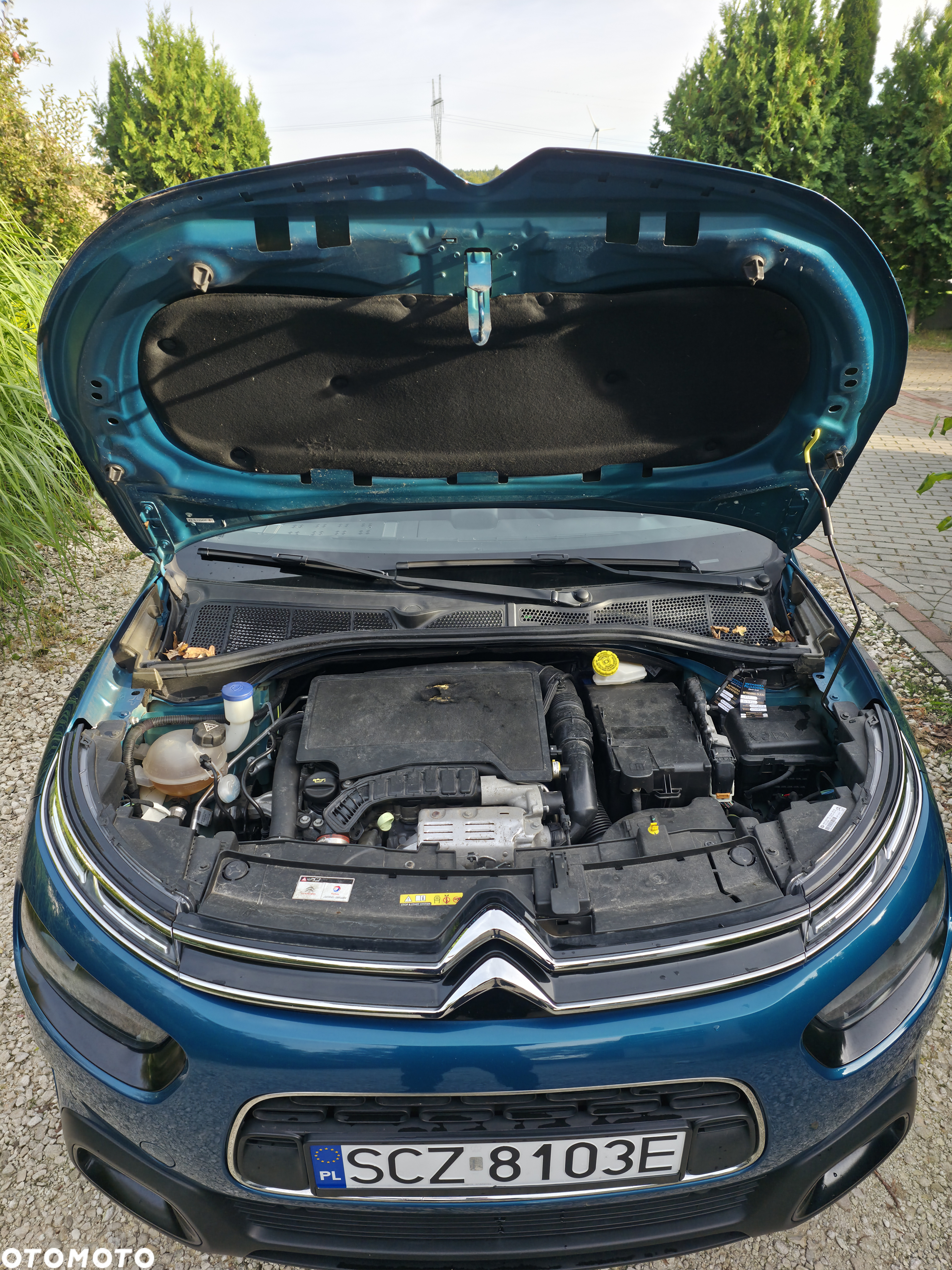 Citroën C4 Cactus PureTech 110 Stop&Start EAT6 Shine - 3
