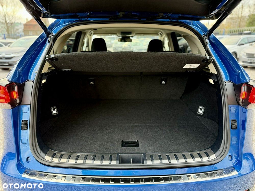 Lexus NX - 38