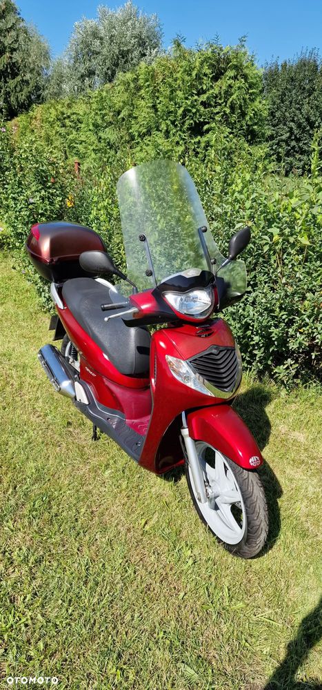 Honda SH - 10