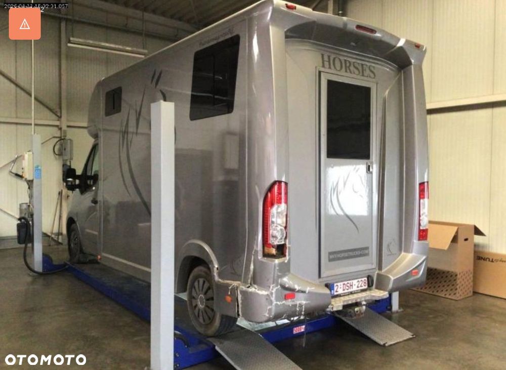 Opel MOVANO Koniowóz - 13