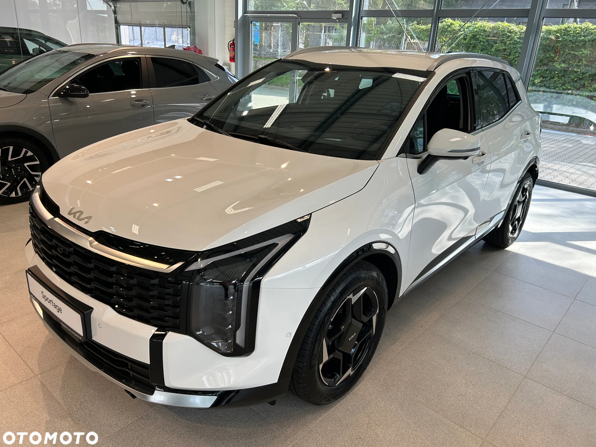 Kia Sportage 1.6 T-GDI Business Line 4WD DCT - 2