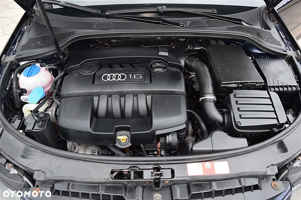 Audi A3 3-drzwiowe 1.6 S Line Sportpaket plus - 24