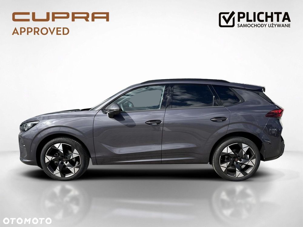 Cupra Terramar - 2