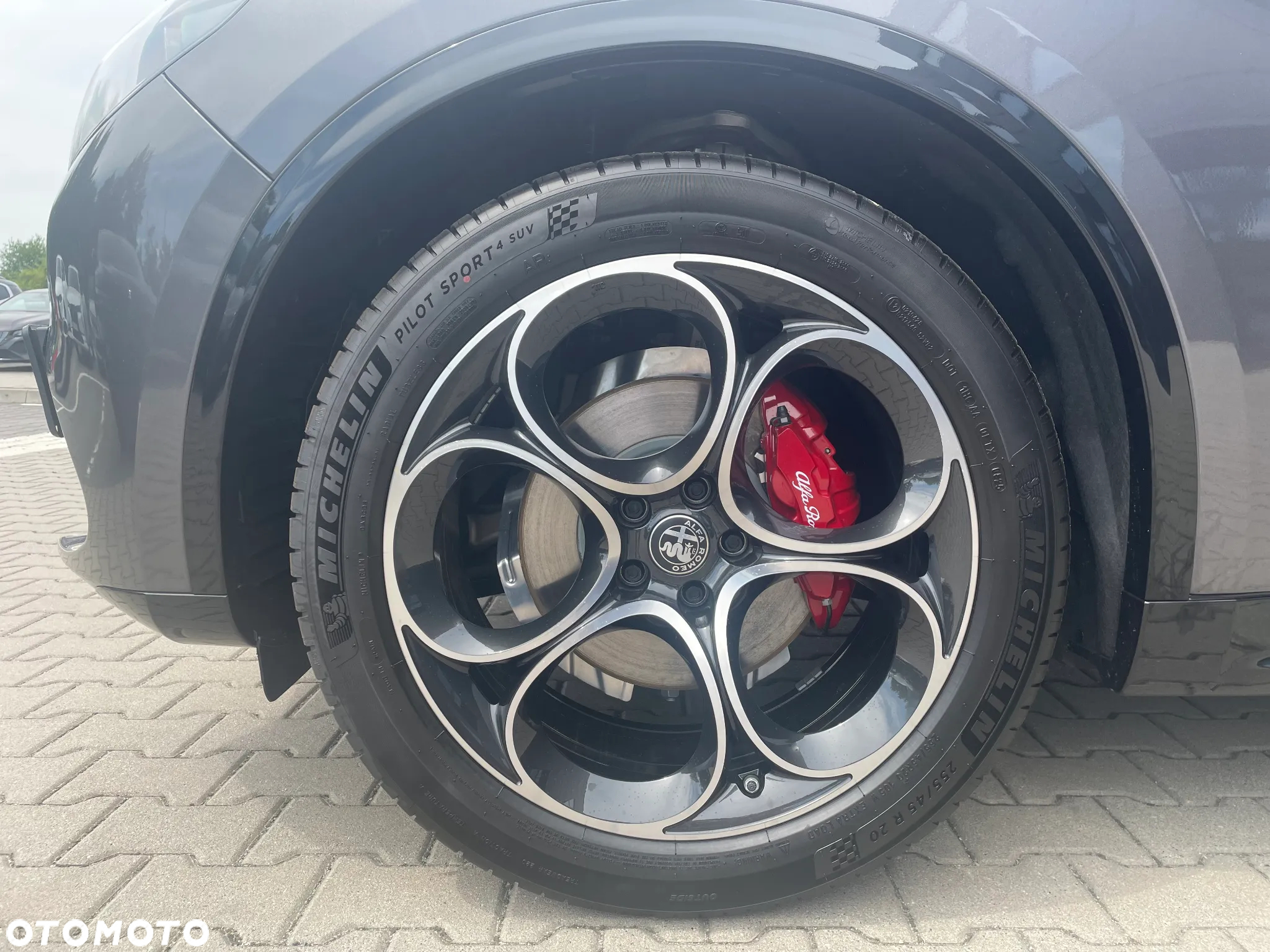 Alfa Romeo Stelvio 2.0 Turbo Veloce Q4 - 11