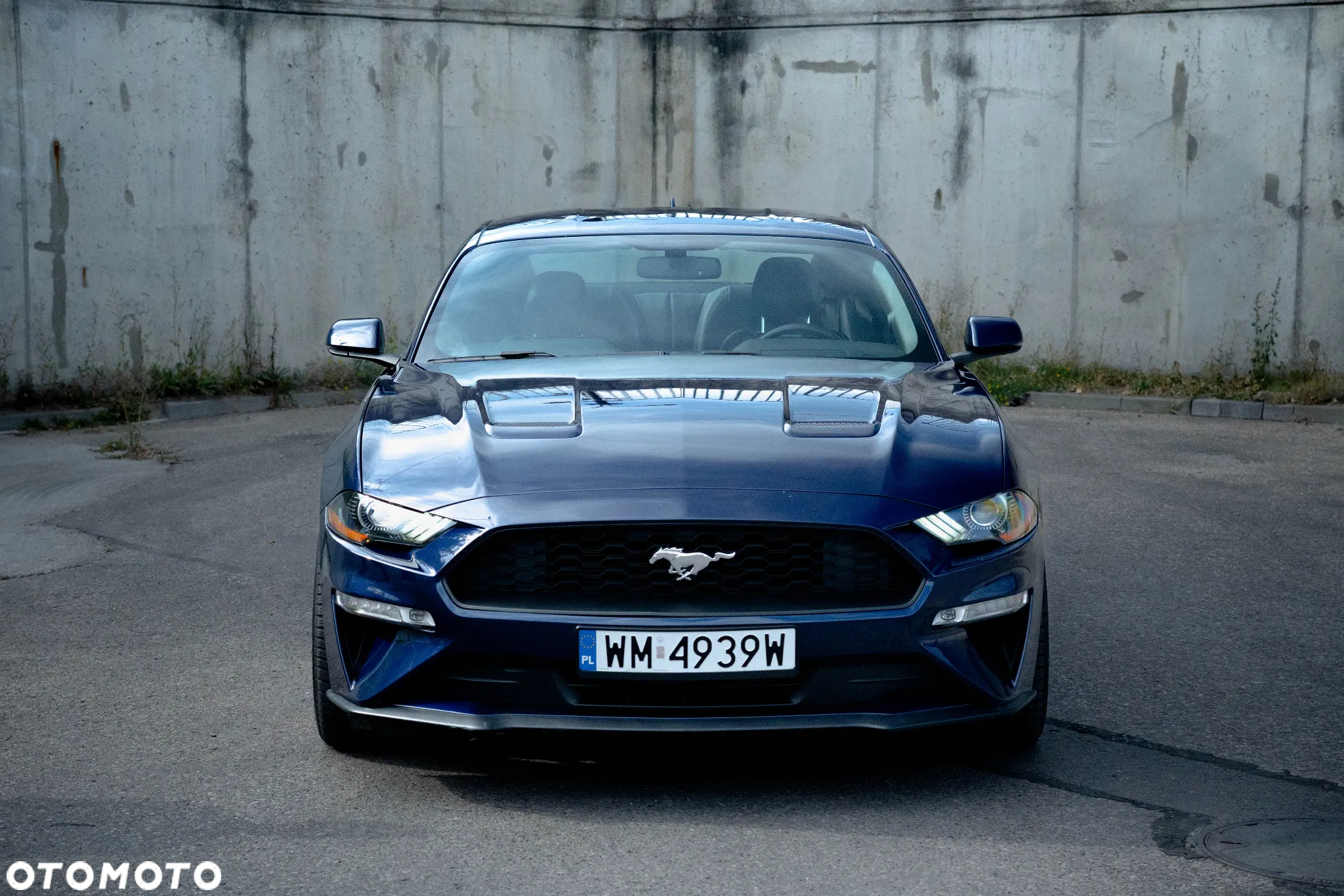Ford Mustang 2.3 EcoBoost - 5