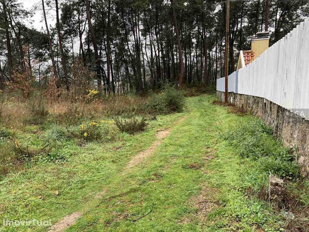 Terreno - Grande imagem: 2/3