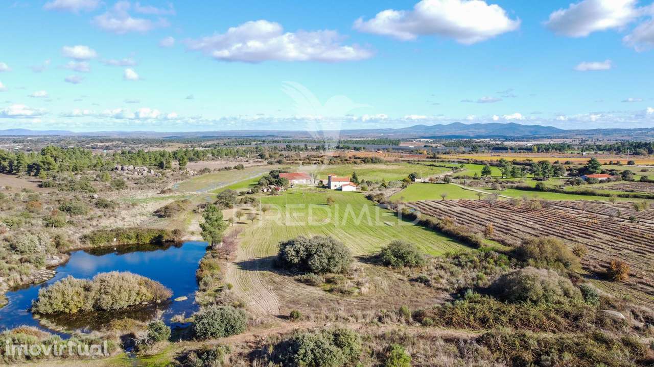 Quinta única com mais de 18 hectares junto a Marialva e ao Douro - Grande imagem: 5/27