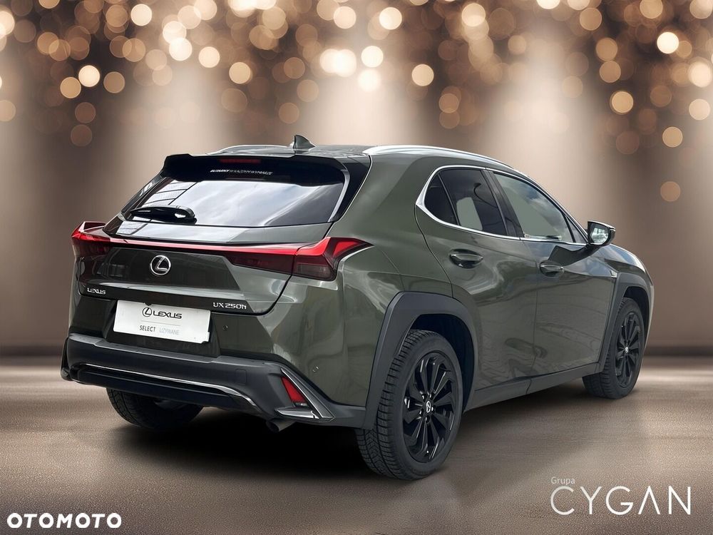 Lexus UX 250h GPF F Sport Design+ 2WD - 7