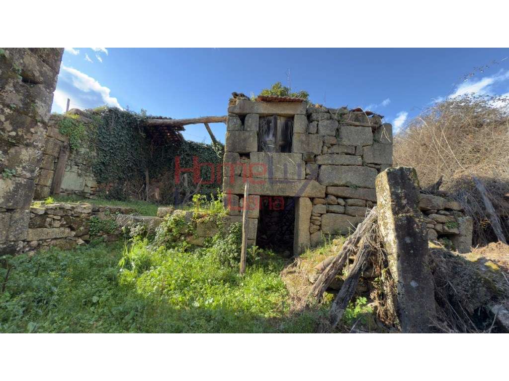 Moradias em Barreiros e Cepões, Viseu - Grande imagem: 3/60