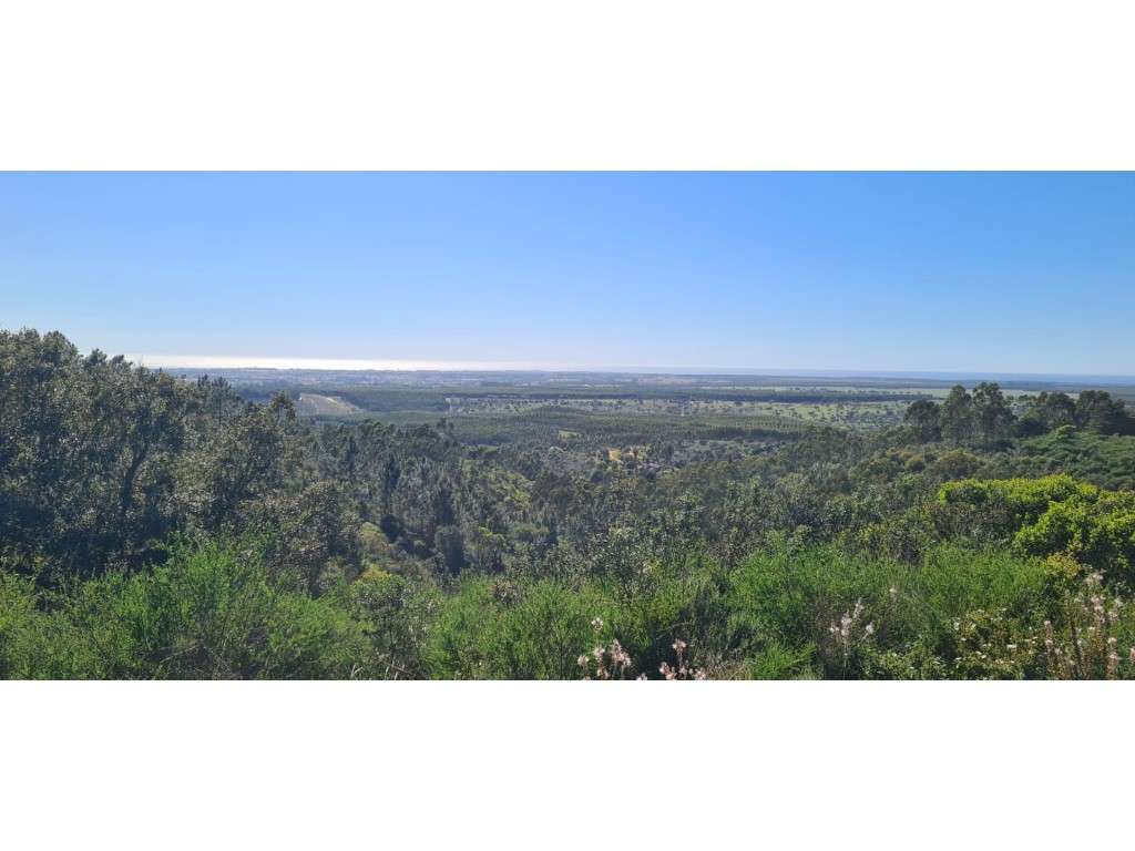 Monte com vista Mar - Grande imagem: 3/26