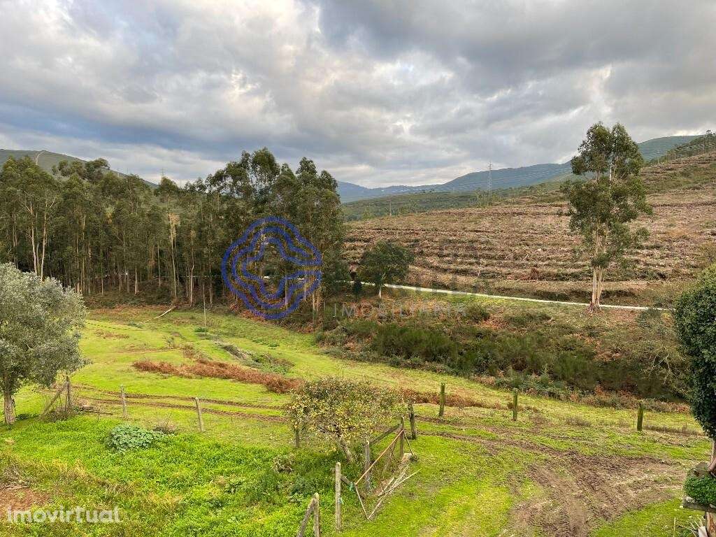 Quinta em Vilar de Mouros - Grande imagem: 3/13