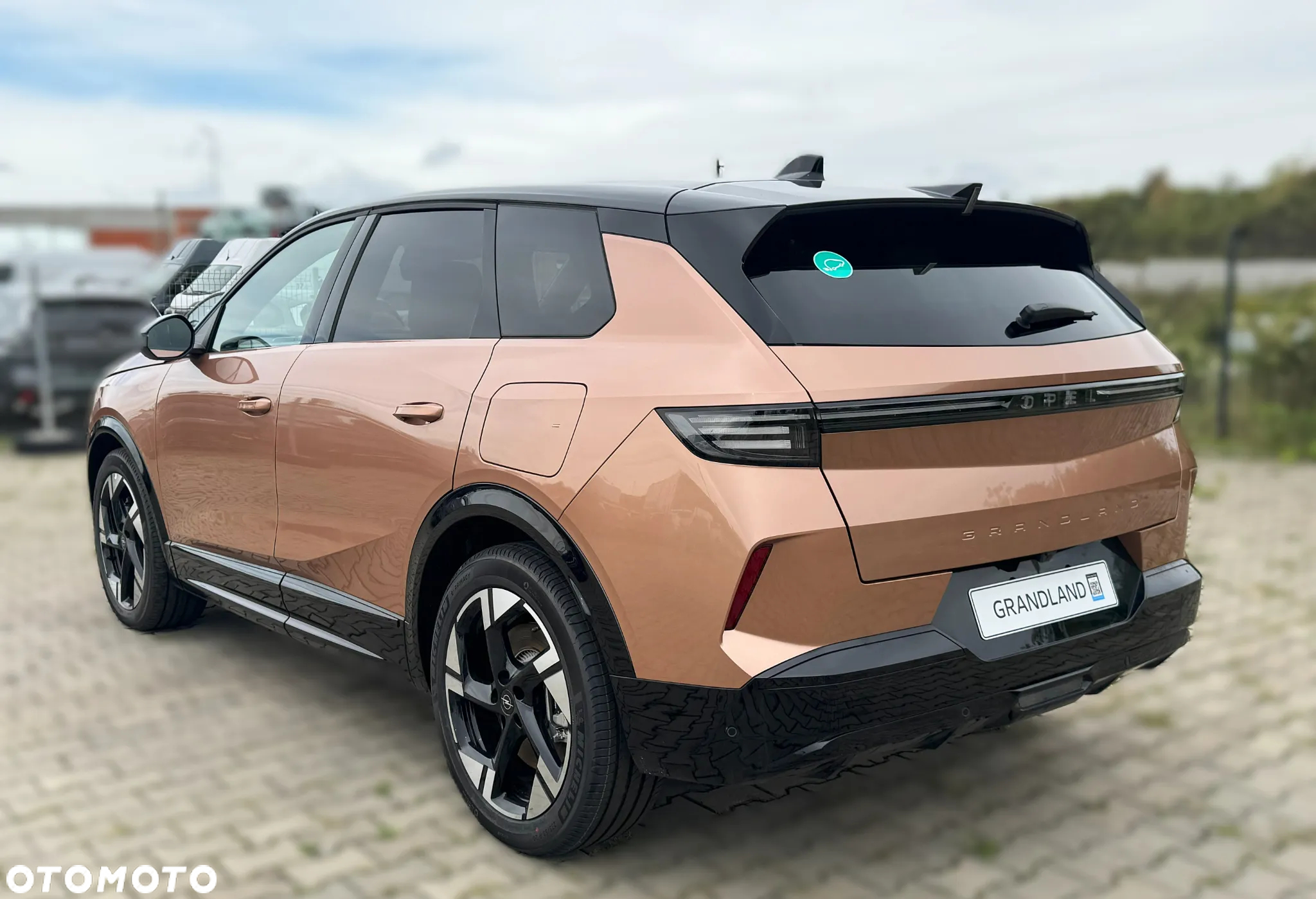 Opel Grandland Electric 73kWh Standard Range GS - 4
