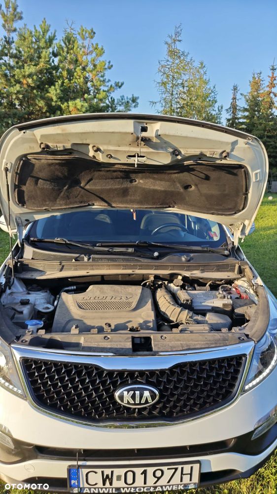 Kia Sportage - 3