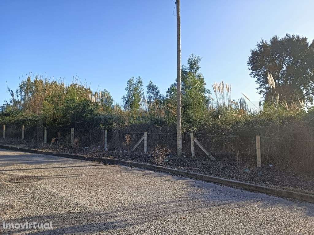 Terreno com 60m de frente - São Bernardo / Aveiro - Grande imagem: 3/9