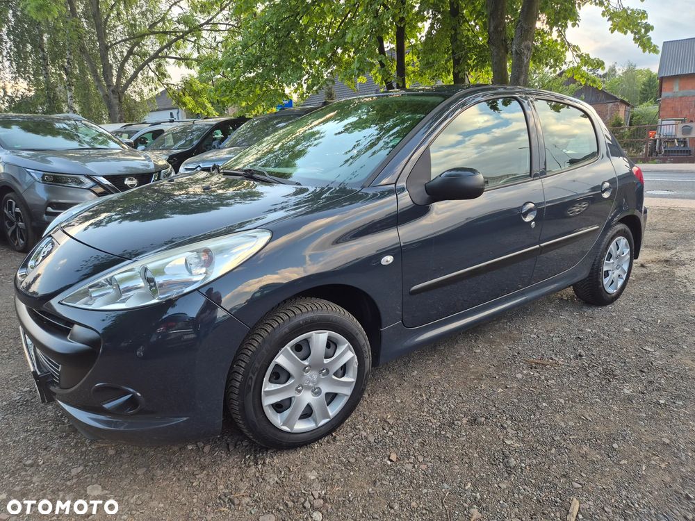 Peugeot 206 60 Grand Filou Cool - 12