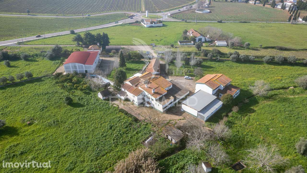 Quinta das Sequeiras - Grande imagem: 3/40