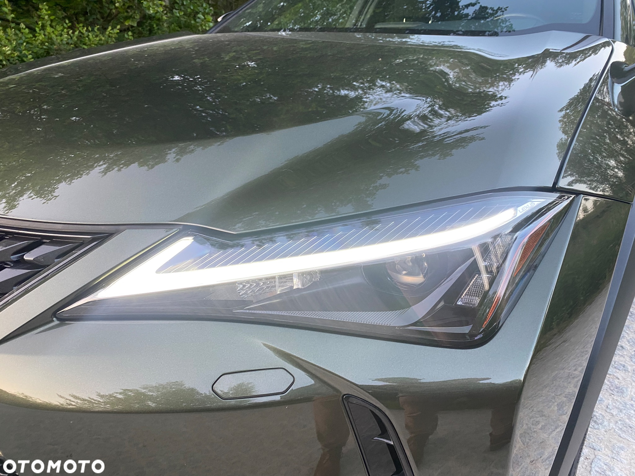 Lexus UX 250h GPF Business Edition 2WD - 10