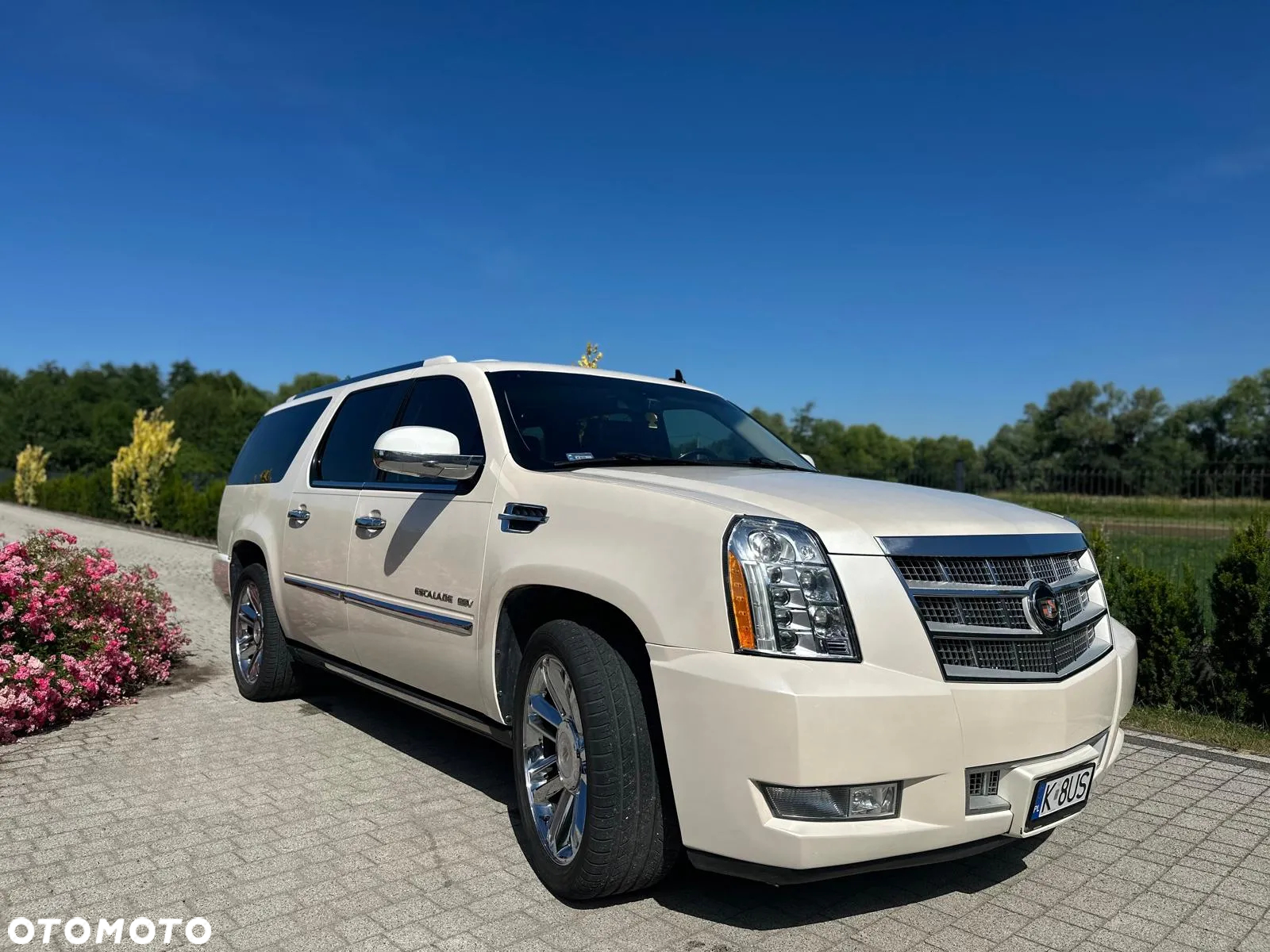 Cadillac Escalade 6.2 V8 Platinum - 4