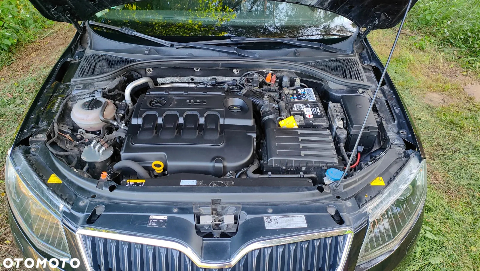 Skoda Octavia 1.6 TDI Ambition DSG - 17