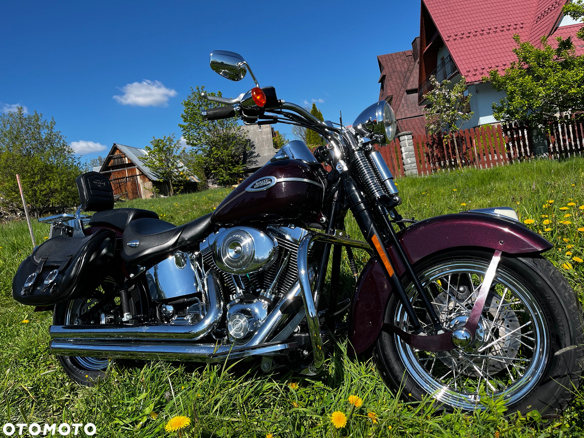 Harley-Davidson Softail Springer Classic - 6