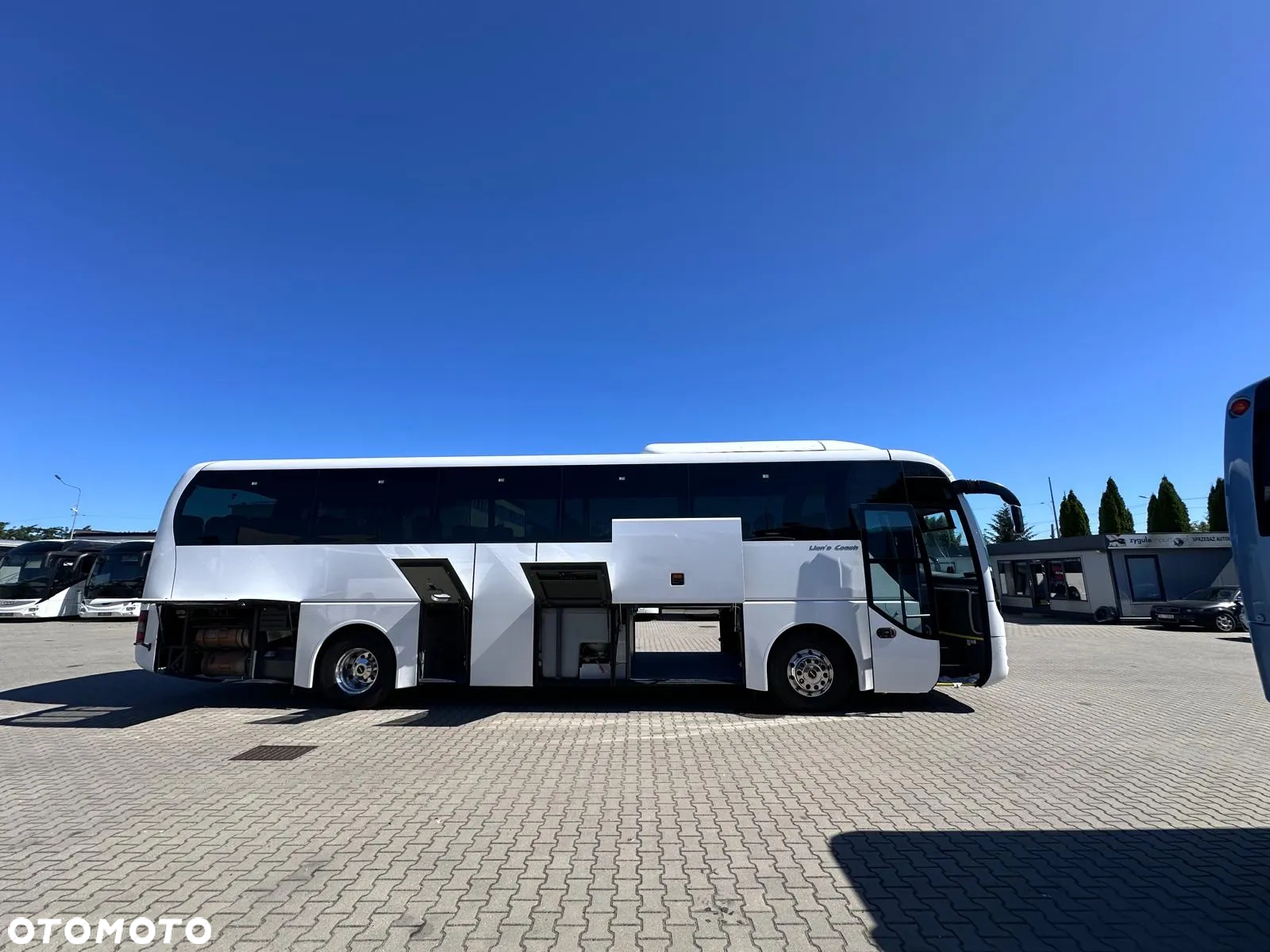 MAN LION’S COACH / SPROWADZONY / 55 MIEJSC / EURO 6 - 9