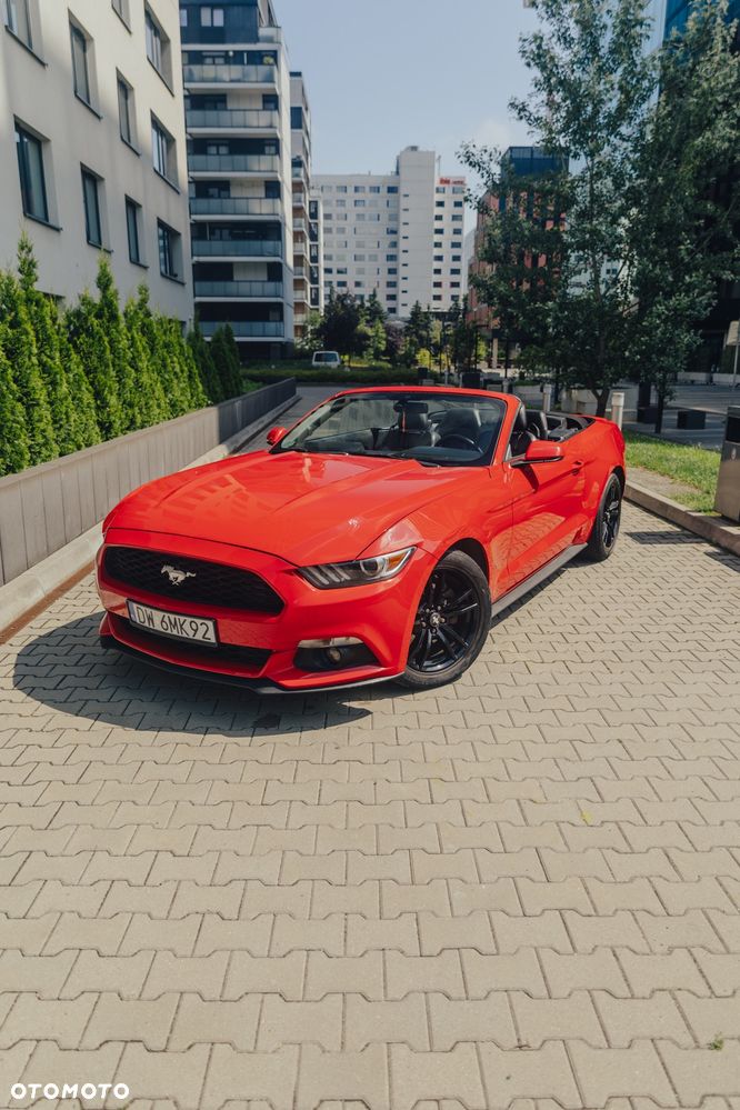Ford Mustang 2.3 EcoBoost - 19