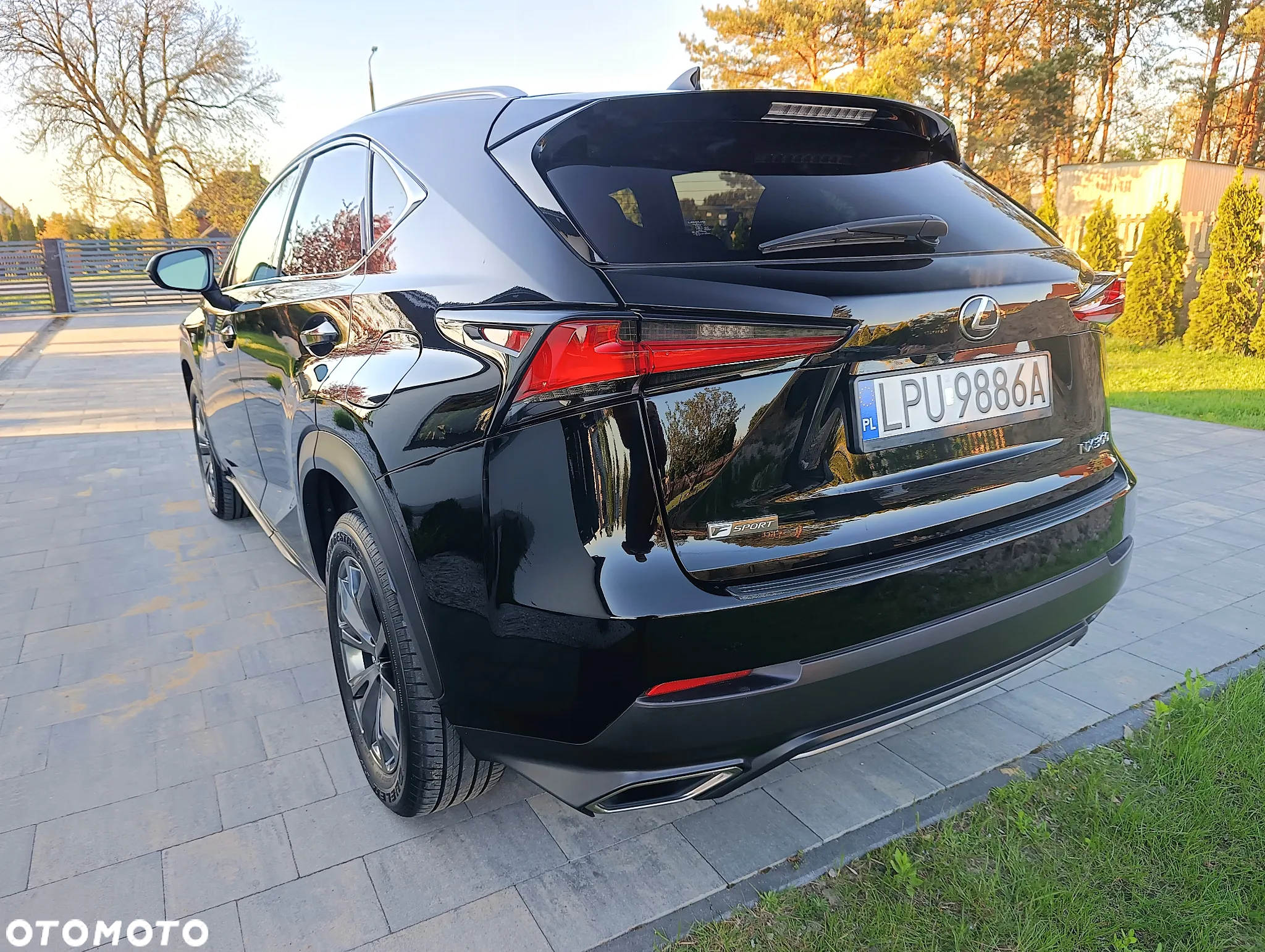 Lexus NX - 9