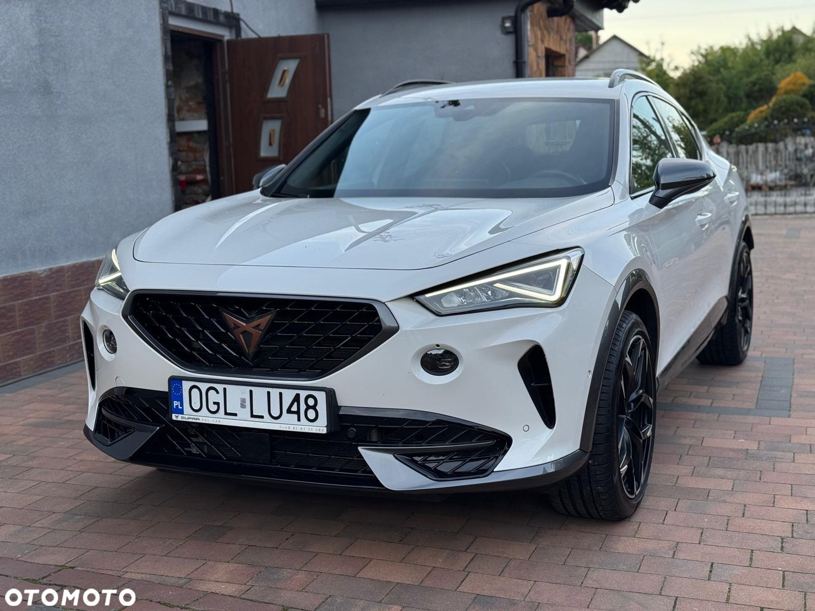 Cupra Formentor 2.0 TSI 4Drive VZ DSG - 4