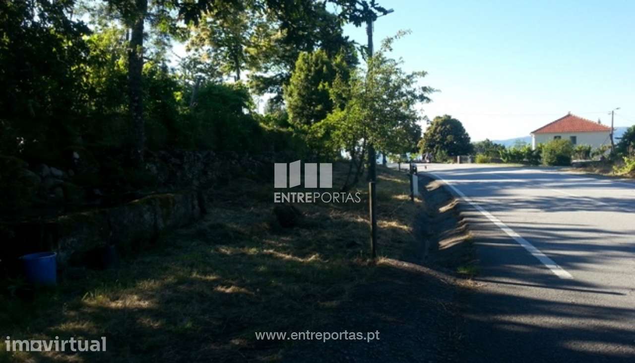 Venda Terreno, Tendais, Cinfães - Grande imagem: 5/30