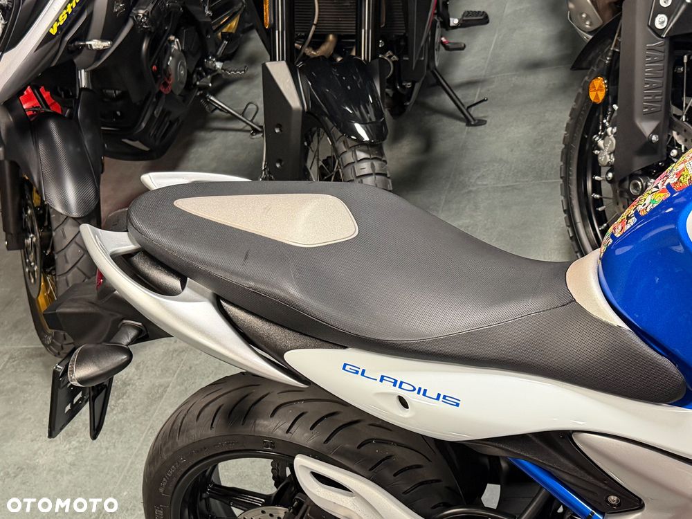 Suzuki Gladius - 12