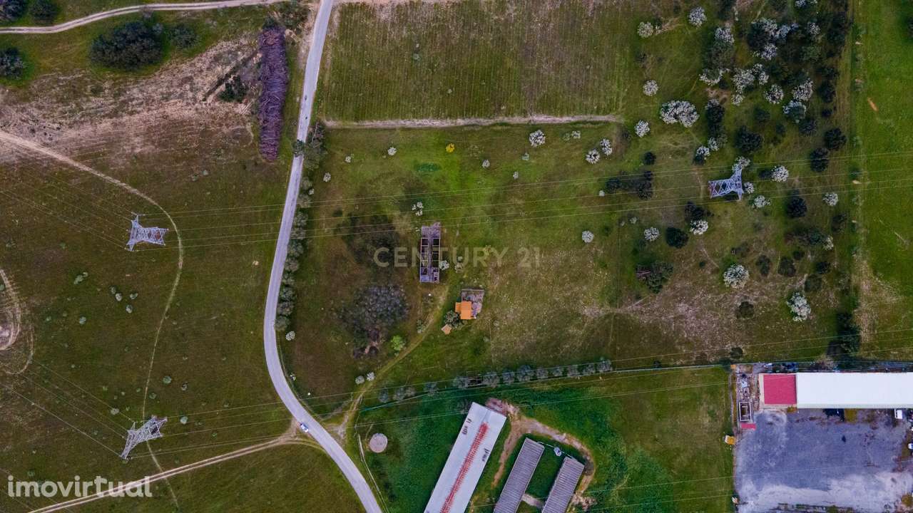 Terreno com Enquadramento Industrial no PDM | 9.700 m² Área Industrial - Grande imagem: 2/12